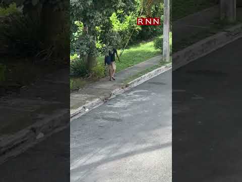 Hombre persigue joven, le arrebata una mochila y huye en sector Los Ríos