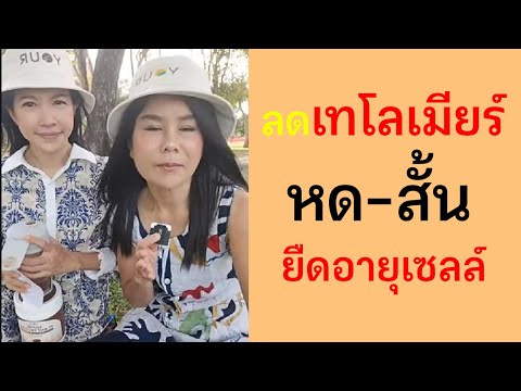 รู้จักเทโลเมียร์และวิธีลดปฏิกร