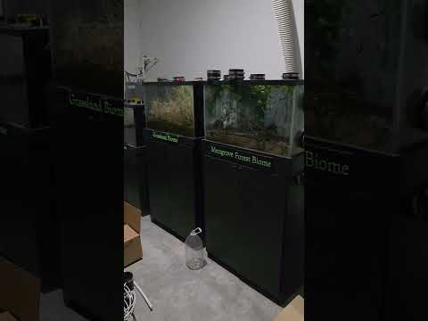 miniBIOTA moved in but there's so much more work a 