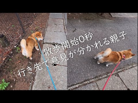 令和拷問シリーズ 散歩係引き裂きの刑 サムネイル