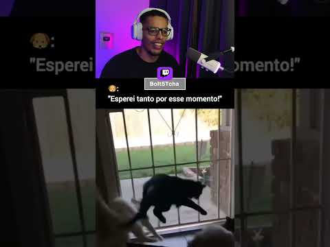 Nem viram o cachorro chegando #shorts