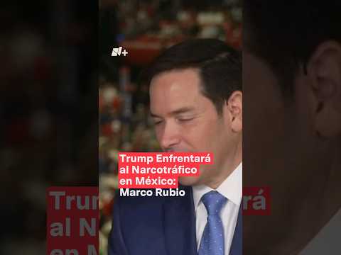 Trump enfrentará al narcotráfico en México: Marco Rubio #nmas #donaldtrump #elecciones2024 #shorts