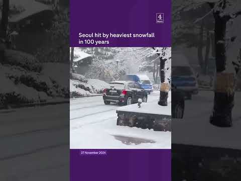 Korea blanketed in heaviest snow for 100 years