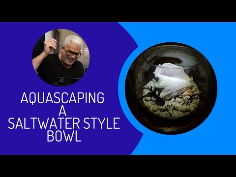 Aquascaping a low maintenace no filter Fish Bowl i I got a new 3 gallon fish bowl so let's Aquascape it in a Saltwater Style but using freshwater aquat