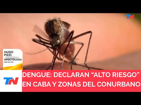 Alerta por el brote de dengue: declaran situación de “alto riesgo” en el AMBA