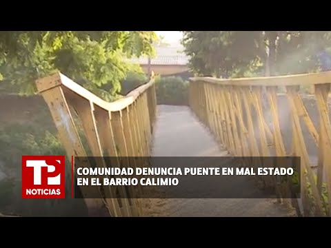 Comunidad denuncia puente en mal estado en el barrio Calimio |20.02.2024| TPNoticias