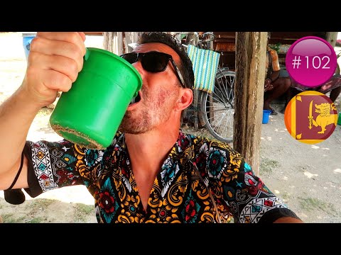 JE TESTE L'ALCOOL LOCAL AU SRI LANKA ! ???????? | JAFFNA | ...