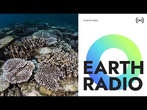 Are coral reefs doomed on a warming planet?