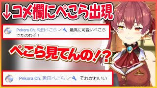 マリン船長のコメ欄に出現するぺこら【兎田ぺこら/宝鐘マリン/hololive】