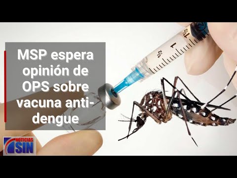 MSP espera opinión OPS sobre vacuna anti-dengue
