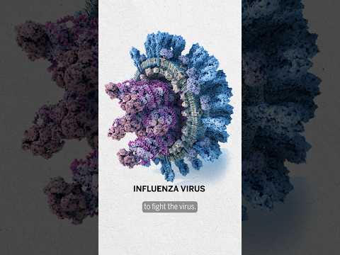 New flu preventative could outperform vaccines