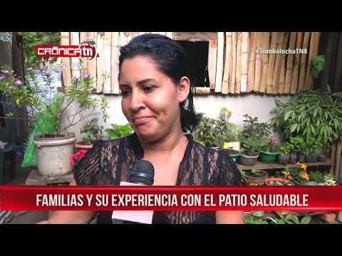 Nicaragua: Familias y su experiencia con el Patio Saludable