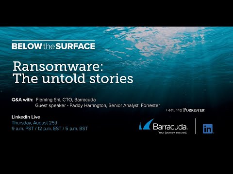 Below The Surface - Ransomware: The untold stories