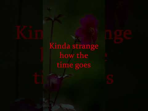 Lio Lai - Singing Fool #music #song #ytmusic