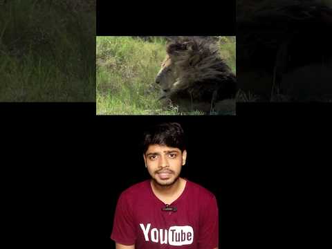 KGF rocky illa Scarface king 👑