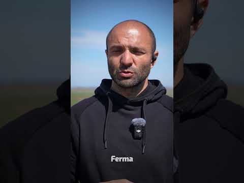 Diferenta dintre conventional si no-till cand vine vorba despre productii🌱