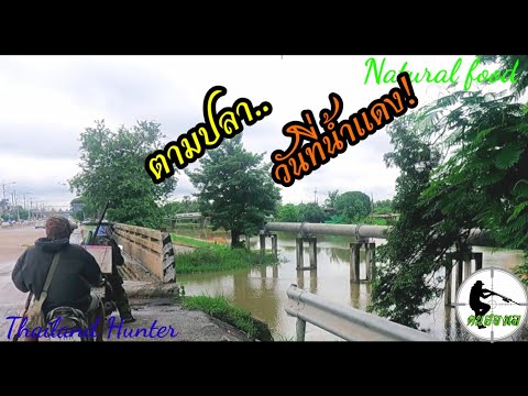#SHOOT-FISH-ยิงปลาคลองรังสิต-ก #SHOOT-FISH-ยิงปลาคลองรังสิต-ก