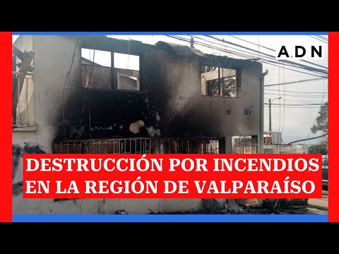 Incendios forestales en Valparaíso dejan gran destrucción en la zona