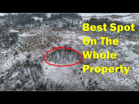 This Bowhunting Setup in a Cattail Swamp for Big Bucks is Almost Unfair