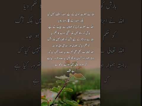 #quotes #poetry #motivation #aqwalezareen #4line #love #shorts