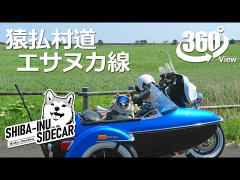 ＜360°動画＞猿払村道エサヌカ線　2025年5月下旬【サイドカーに柴犬 #139 Sarufutsu Village Road Esanuka Line Late May 2025】