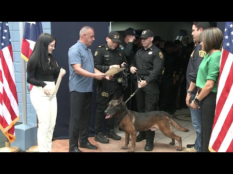 Negociado de la Policía asciende al rango de Sargento a 36 canes de la K9