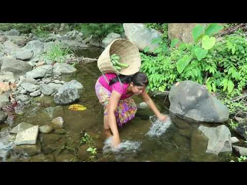 Nature Food ln the forest - woman Grab a crocodile - Cook eggs for dog eat