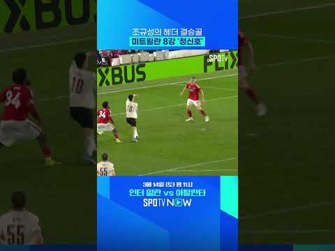 월드컵에서도 증명된 헤더 (feat. 조규성 결승골)