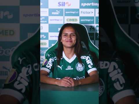 image para ilustrar o artigo