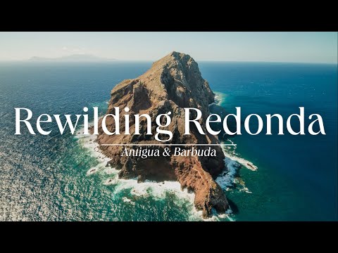 Rewilding Redonda Island