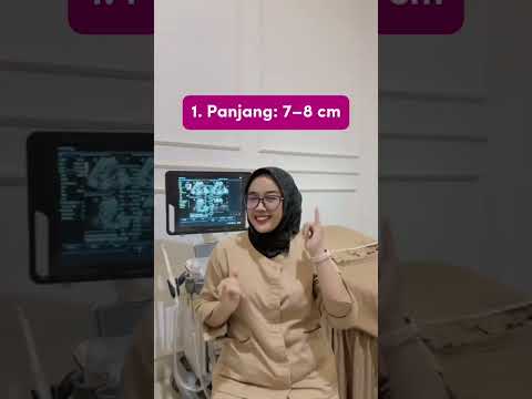 Ukuran Rahim Normal