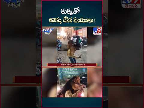 iSmart News : కుక్కతో అవాక్కు చేసిన మందుబాబు !  | Drunk Man | Dog - TV9