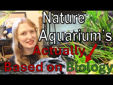The stable Scientific Aquarium Ecosystem (your wat The science behind freshwater aquariums and how you create an ecosystem that is stable and natural w