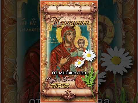 20 июля Влахернская икона Божией Матери (в России с 1654 года)