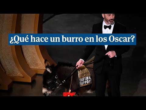 Un burro sube al escenario de la gala de los Oscar