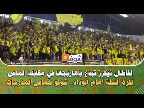 من فاس: الفاطال تيكرز تبدع بأهازيجها في مقابلة الماص لكرة السلة أمام الوداد.. شوفو حماس المدرجات