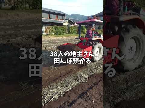 地主38人から預かった大切なもの お米の話 丹波からふるファーム #丹波からふるふぁーむ #農業