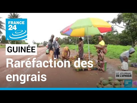 Guinée : la production agricole menacée à cause de la raréfaction des engrais • FRANCE 24