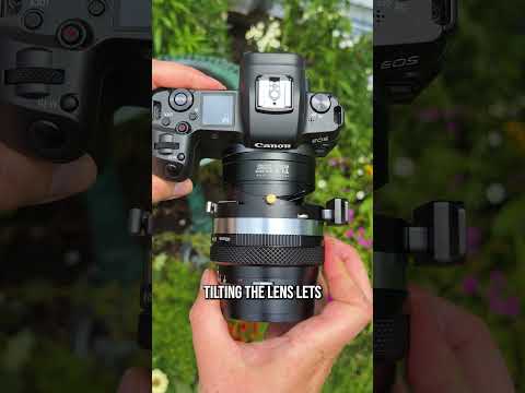 A Tilt-Shift Lens Adapter #photography #tiltshift