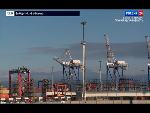 ВЕСТИ 24 Ленинградская область от 08.11.2020