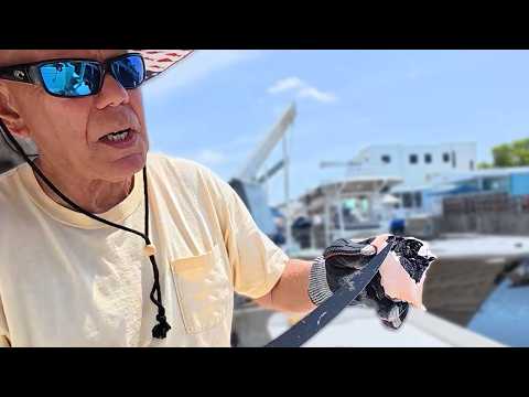 Why is this fish black inside? video thumbnail
