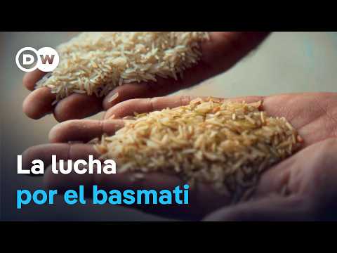 Basmati: el arroz que India y Pakistán quieren proteger