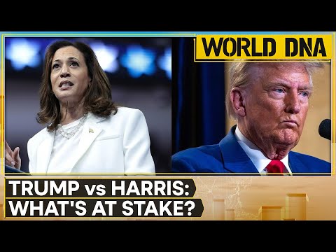 US Elections 2024 | Go on the offensive: Hillary Clinton's word of advice to Harris | WION World DNA
