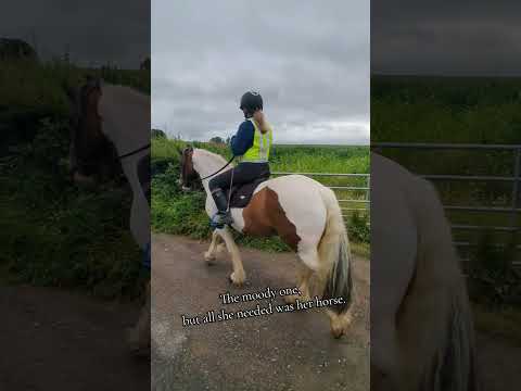 my baby #horses #horse #equestrian #equestrians #equine #horsegirl #pony #ponies #horseriding