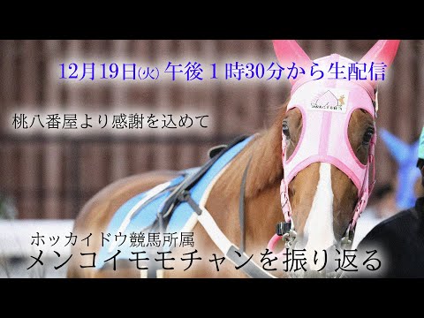 【桃八番屋】メンコイモモチャン引退！全ての方に感謝すると共に全レースとこれまでの３年間を振り返る。