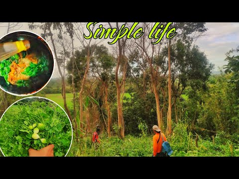 find native ampalaya in the forest cooking | life in the  Countryside of cagayan