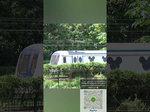 迪士尼線列車 #disney #disneyland #迪士尼 #tour #hk #hongkong #music #classicalmusic #guitar #香港 #旅遊 #休閒 #度假