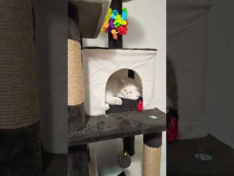 it's me hi I best is me