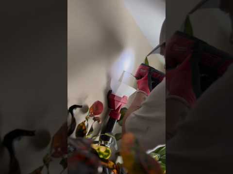 AIR-TIP™ Dust Collector | 49-90-2022 Video Credit: @colin.does.electric