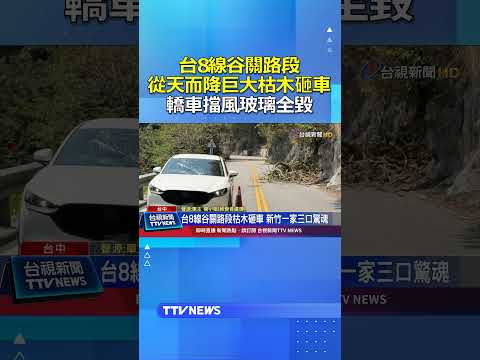 台8線谷關路段 從天而降巨大枯木砸車 轎車擋風玻璃全毀 #谷關